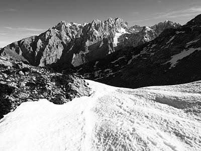 jultayu, invernal en blanco y negro