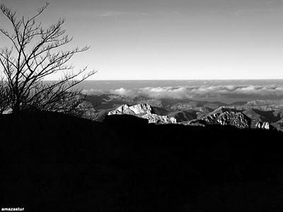 jultayu, invernal en blanco y negro