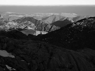 jultayu, invernal en blanco y negro