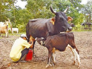 ¿Dónde está Rajoy?