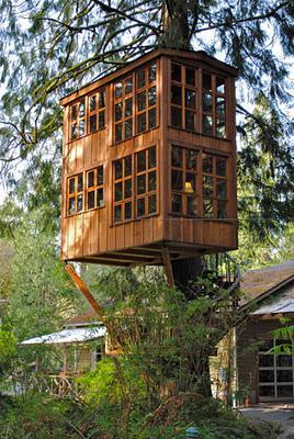 Un hotel en un árbol