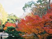 Seminario Jardines Japoneses 2012