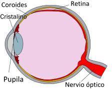 ¿Que puede causar un desprendimiento de retina?