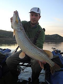 La pesca con lipless La pesca con lipless