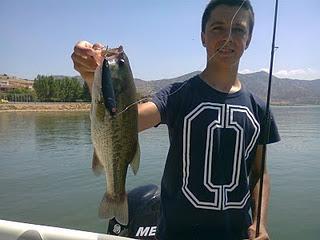 Fotos Concurso Fotográfico 2011