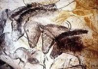 un diálogo con el futuro Photobucket