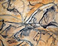 un diálogo con el futuro Photobucket