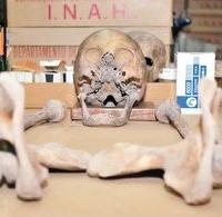 Tras los lazos de sangre de Sor Juana