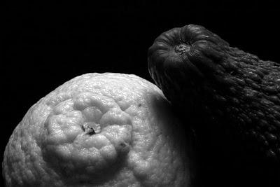 Ópera de Babel - Grümmer en el dúo de Otello