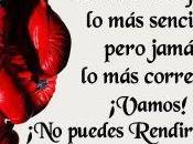 rindas, sigue luchando