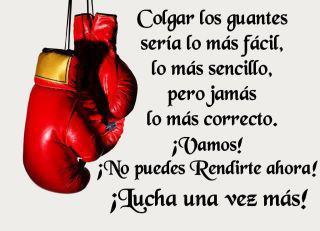 No te rindas, sigue luchando