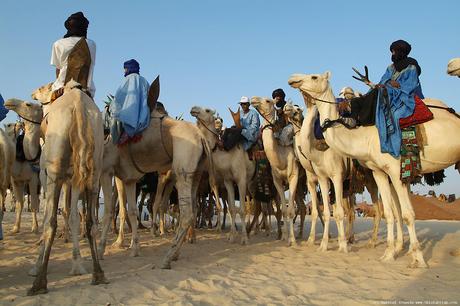 Alma de Tuareg