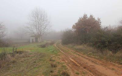 Muere de frío un anciano al desorientarse y resguardarse en un contenedor de carga