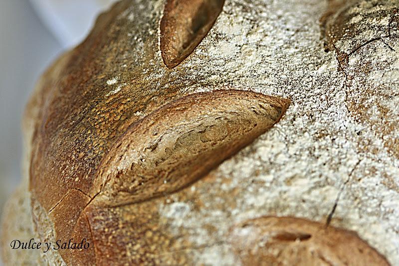 PAN DE HOGAZA CON MASA MADRE