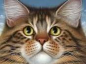 gatos Braldt Bralds