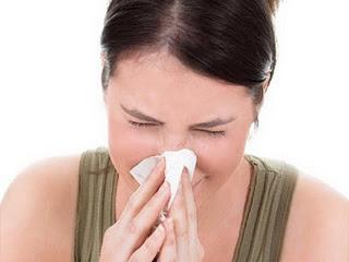Remedios naturales que previenen gripes y resfriados