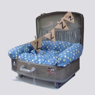 Recicling Suitcase