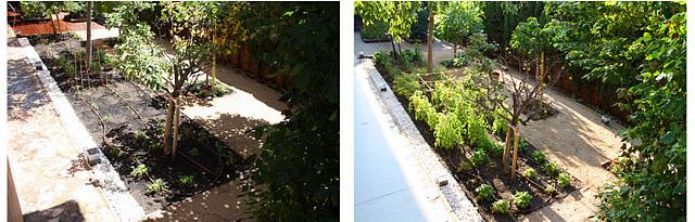 Paisajes Reales con... Pilar Tejela