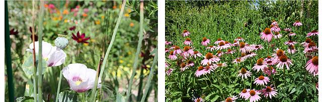 Paisajes Reales con... Pilar Tejela