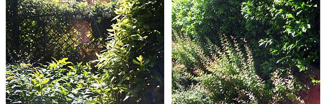 Paisajes Reales con... Pilar Tejela