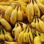 platano planta medicinal