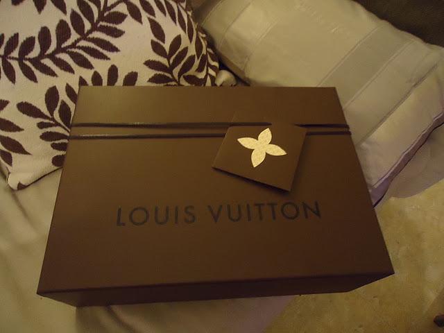 Mi nuevo bolso Louis Vuitton