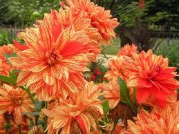 Obrando con prudencia