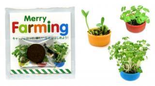 Semilleros para niños