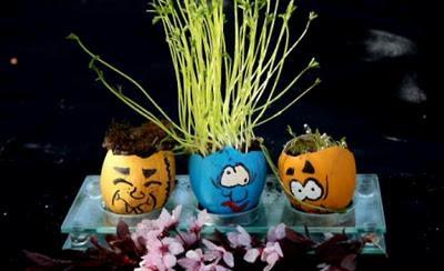 Semilleros para niños