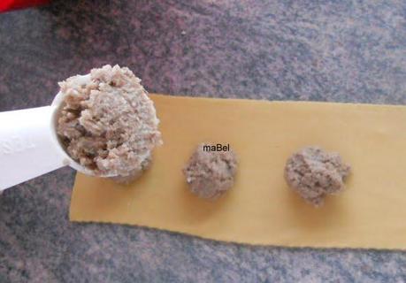 Agnolottis o capelettis de carne - Donato