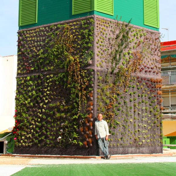 La evolución del jardín vertical de Getafe.