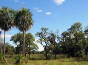 creación área protegida Chaco (Argentina)