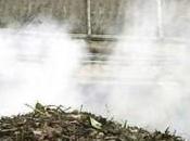 Cuida planeta Tierra