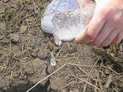 (354) mexicano inventa “lluvia sólida”