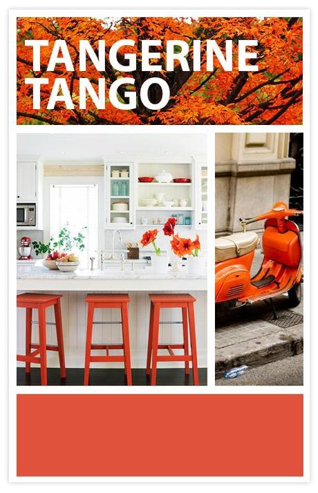 tangerine EL LENGUAJE DEL COLOR