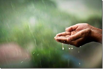 Ciencia comprometida