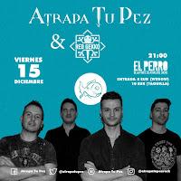 Concierto de Atrapa Tu Pez y Red Gekko en El perro de la parte de atrás del coche