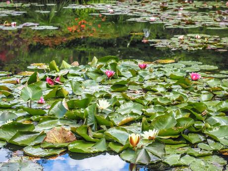 Que ver y hacer en ROUEN, Francia: las mejores actividades