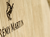 Remy martin, años deleitandonos cognac