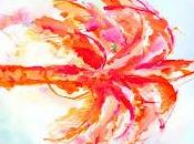 Sexy Zebras estrenan Palmera