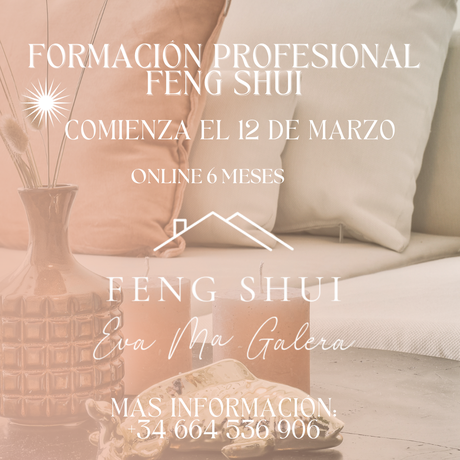 Formación Profesional Feng Shui 2024
