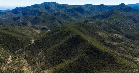 Se realizará el Festival de la Sierra de San Miguelito: Un Evento de Conservación y Cultura