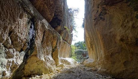 GLADIATRIX. LO + LEÍDO TOP 5 ANUAL.2023. GLADIATRIX. LO + LEÍDO TOP 5 ANUAL.2023.