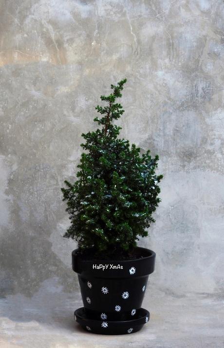 Pobre abeto. Pobre abeto.