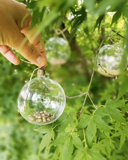 Bienvenida Navidad 2023: Arbolito y detalles en la entrada