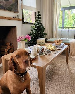 Bienvenida Navidad 2023: Arbolito y detalles en la entrada