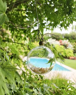 Bienvenida Navidad 2023: Arbolito y detalles en la entrada