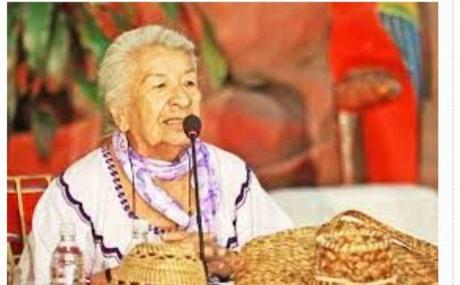 Venezuela. Noheli Pocaterra: “Los pueblos indígenas han dicho: 5 veces sí”.