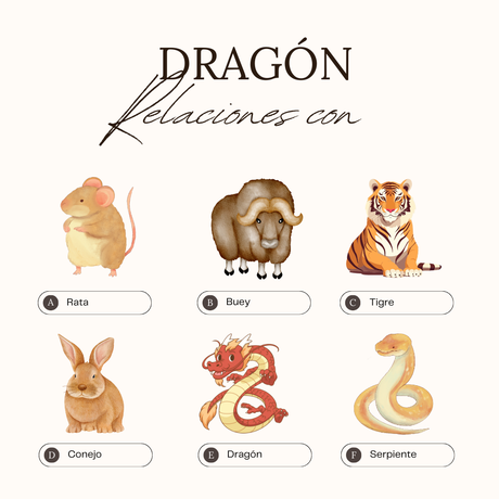 Relaciones horóscopo chino con el Dragón 🐲