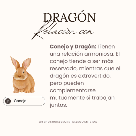 Relaciones horóscopo chino con el Dragón 🐲